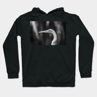 Common black and white Egret Hoodie